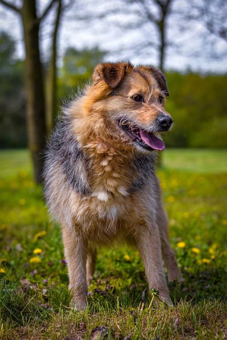 Escobar- Łagodny i przepiękny