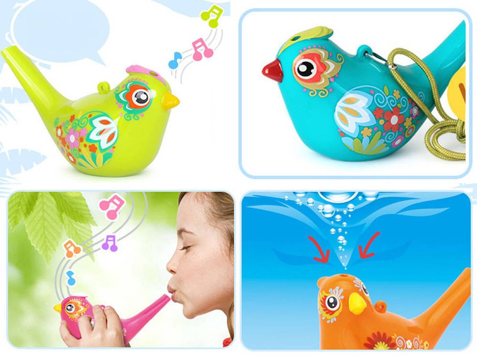 ptaszek gwizdek wodny ptak water bird birds za1483