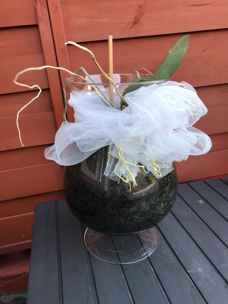 Sprzedam szklany kieich doniczka 31cm wysokosci