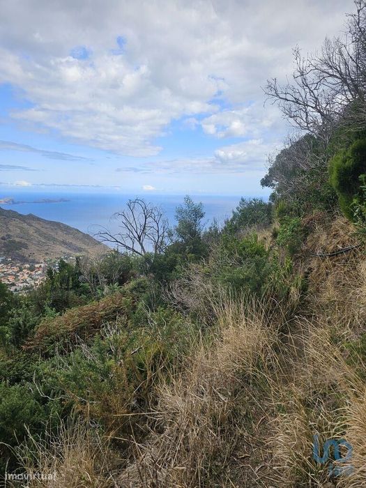 Terreno em Água de Pena de 10100,00 m2