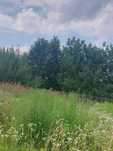 Будинок в селі Житомирська область