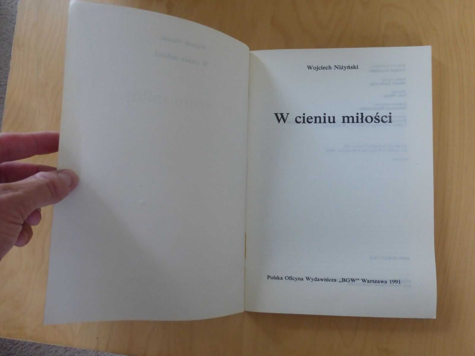 W cieniu miłości. Wojciech Niżyński W labiryncie serial tv
