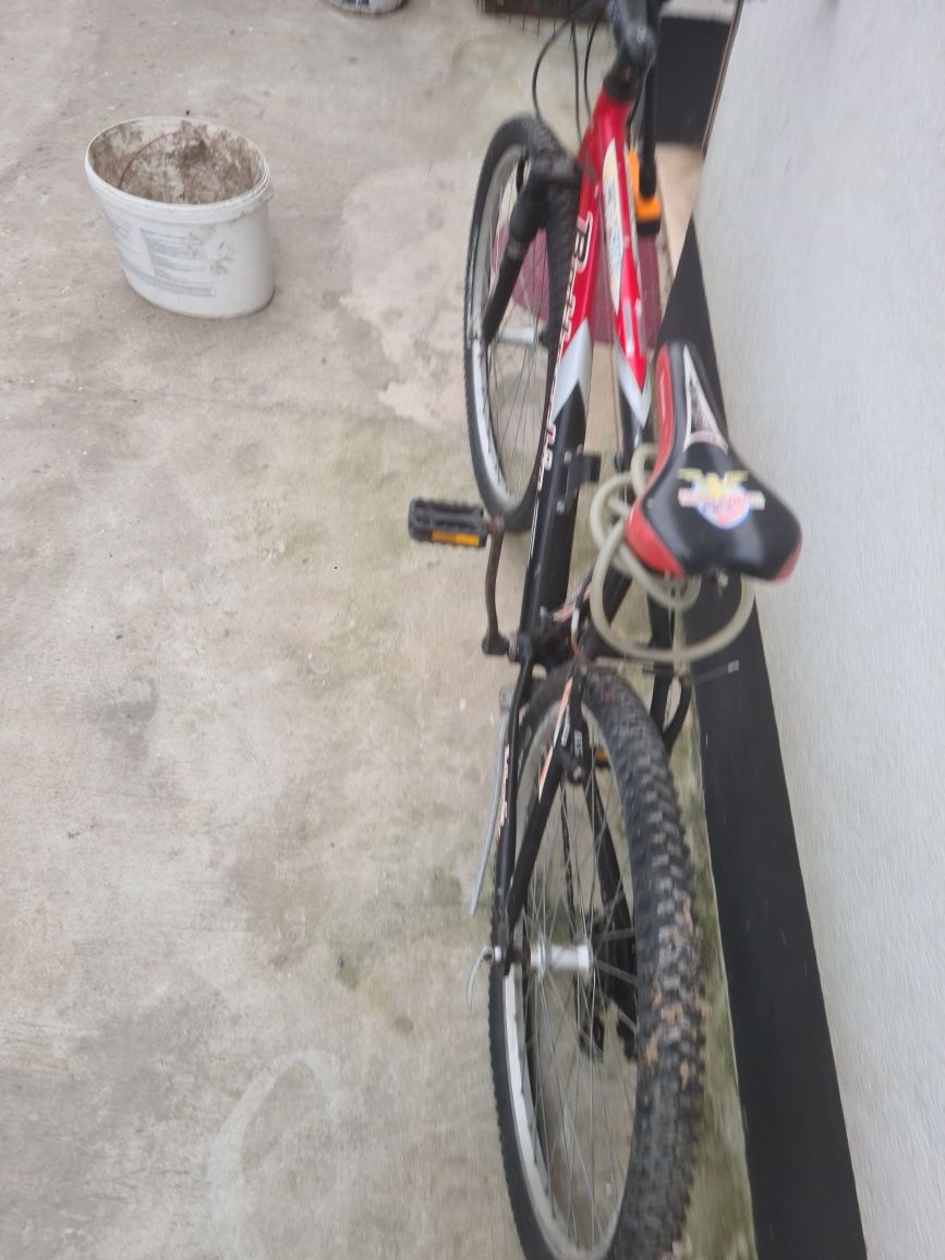 Bicicleta- bottecchia (marca francesa)