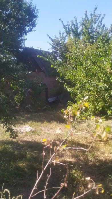 Дачний участок в садовому кооп . «Моторобудівник »