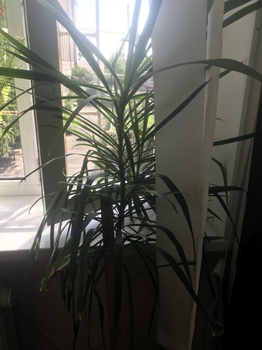 Розборка Audi A4 B5 (1994-2001) 1.9 2.6 1.8 1.6