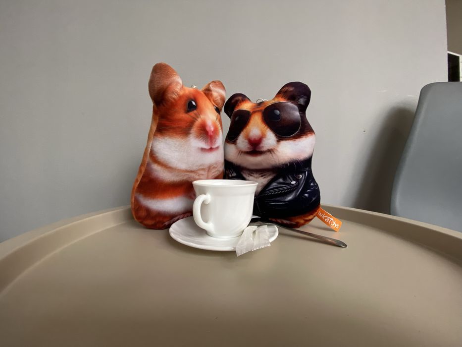 Готель Hamster 007. Центр Львова.