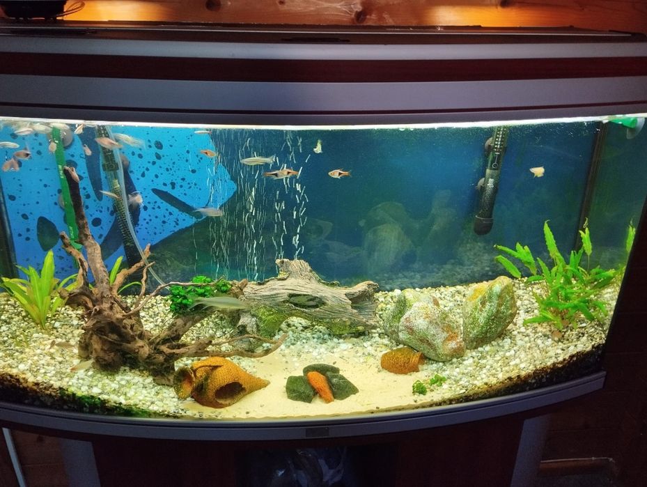 Aquário Aquatlantis 200l + Filtro Externo EHEIM 250