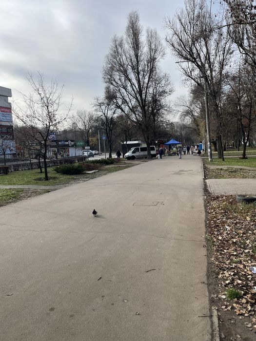 Сдам помещение на Чаривной 159