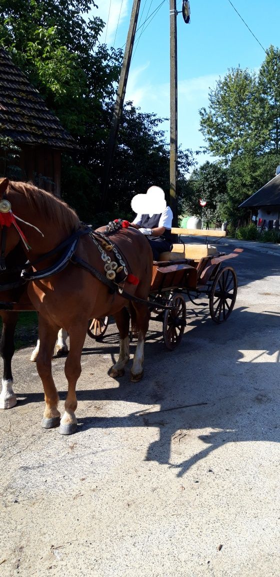 Bryczka konna w bardzo dobrym stanie