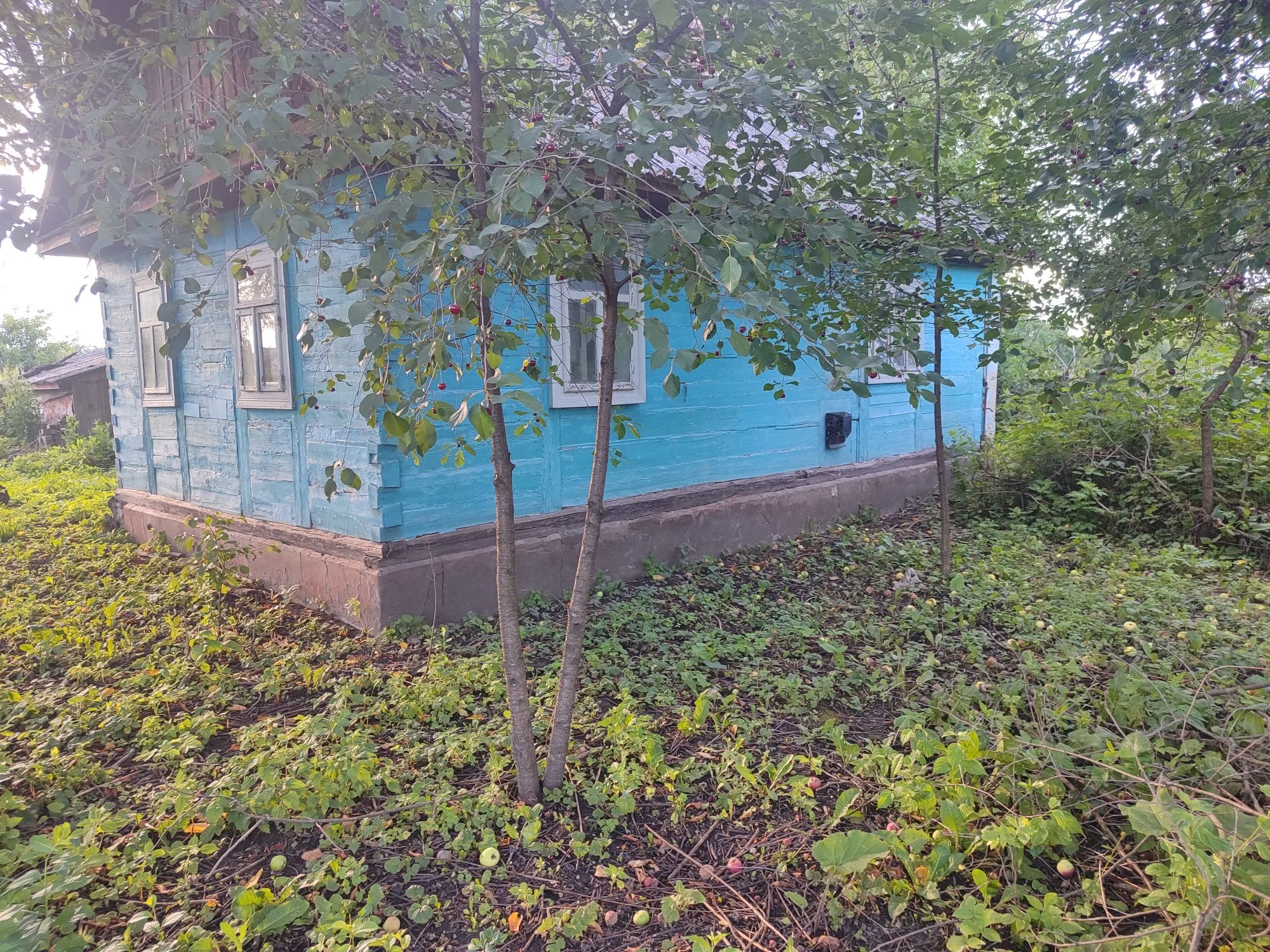 Продам будинок в шкарові терміново