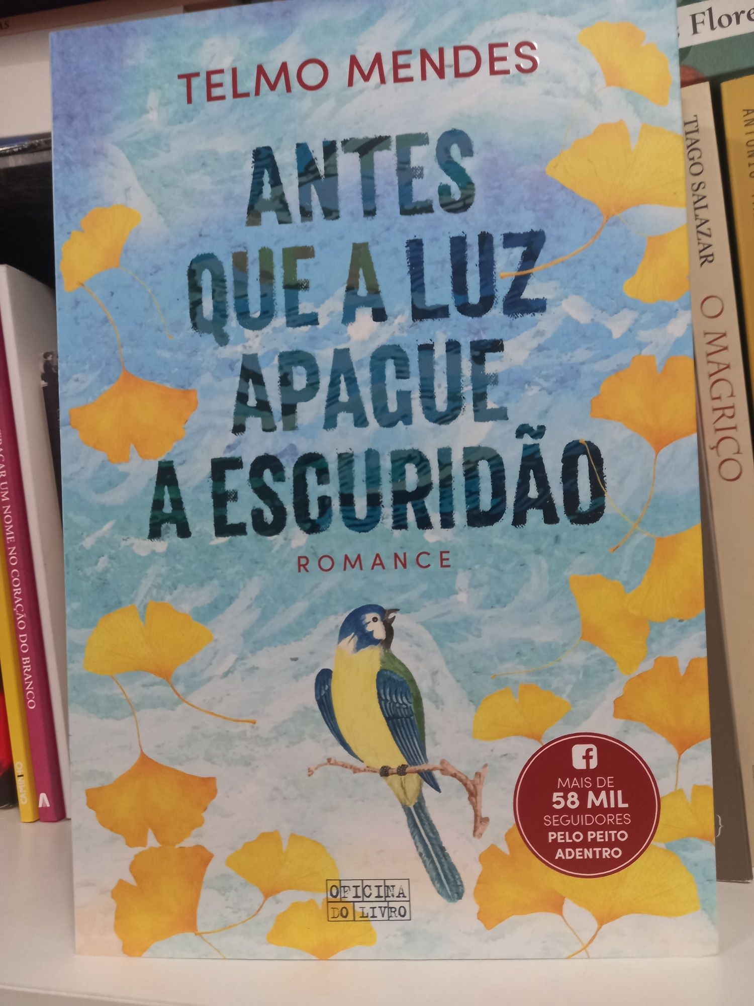 Antes que a luz apague a escuridão