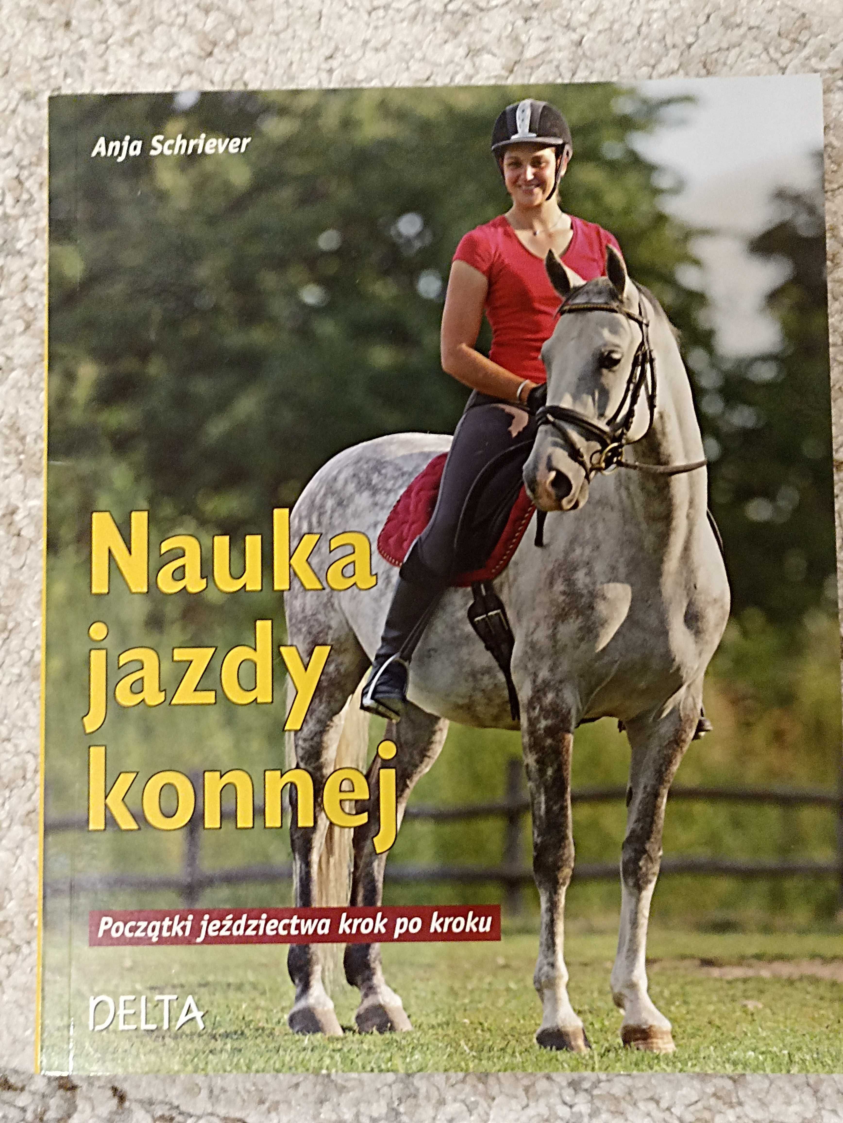 Nauka Jazdy Konnej Anja Schriever