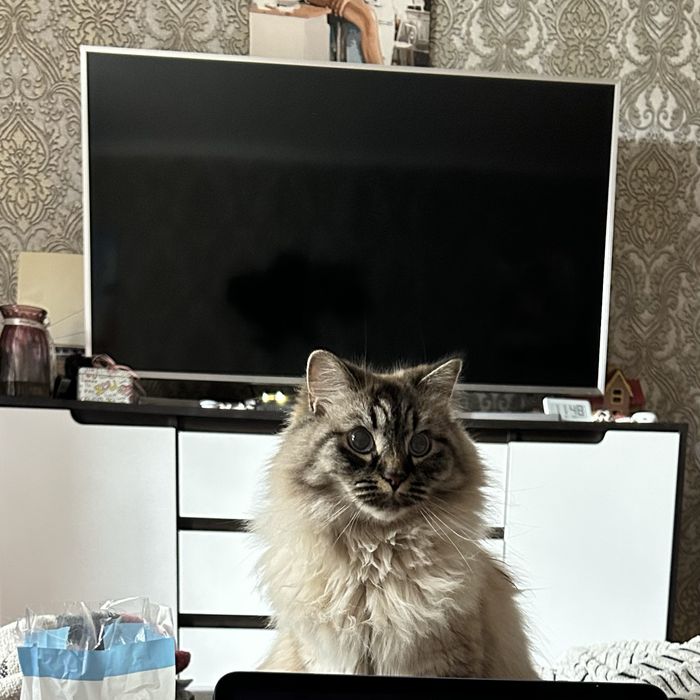 телевізор Samsung UE49MU6400, 49” (4K UHD, Smart TV).