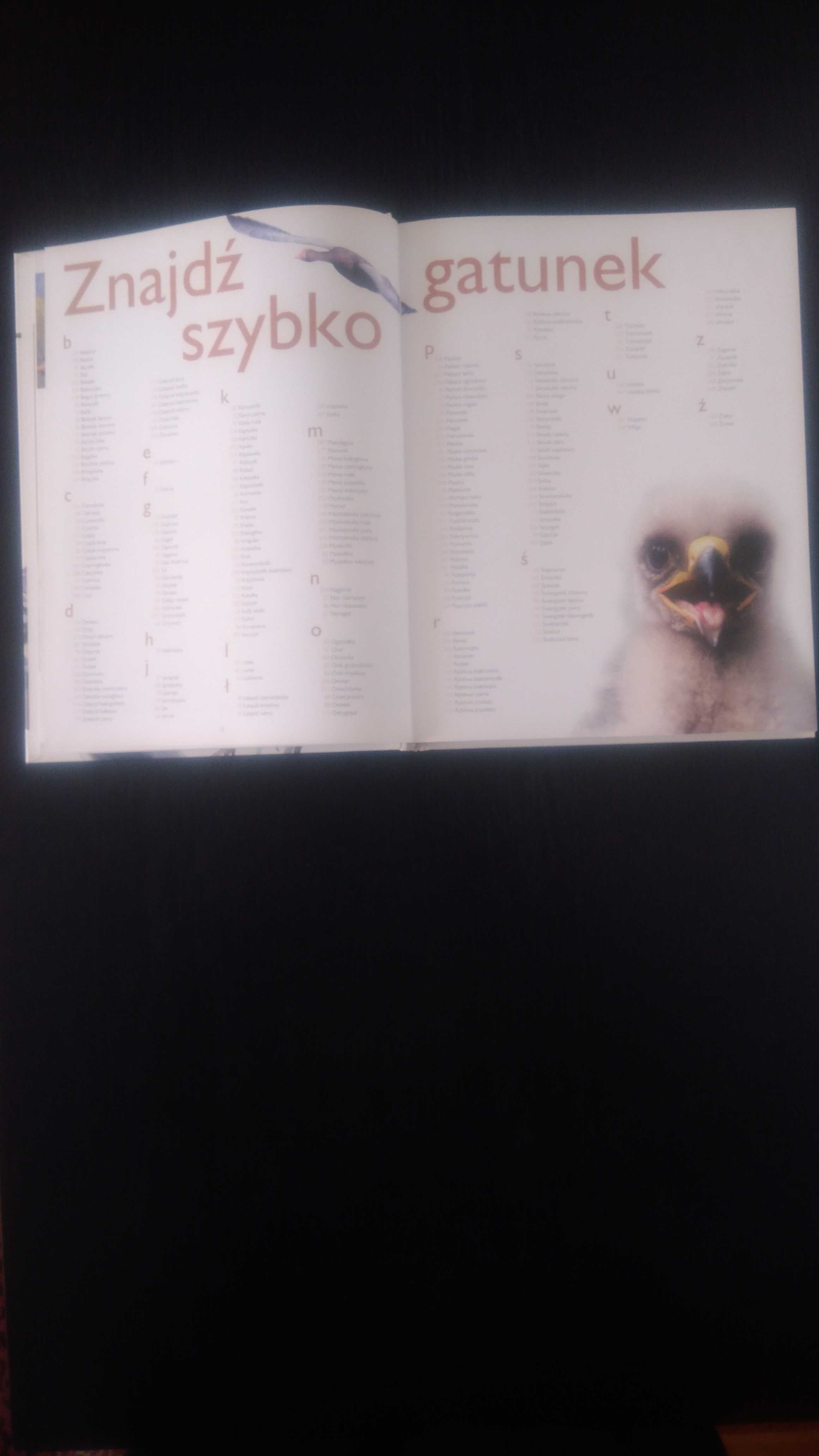 Ptaki Polski Encyklopedia ilustrowana.