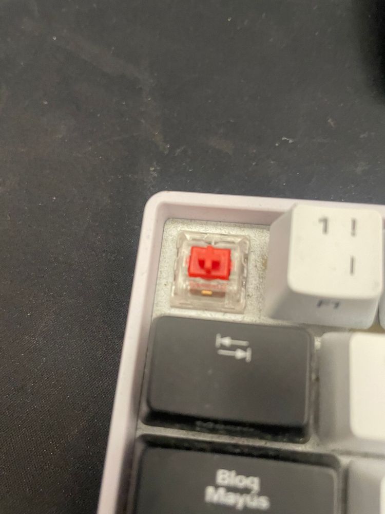 Teclados gaming hyperx e sharkoon