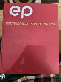 Encyklopedia pwn 1982