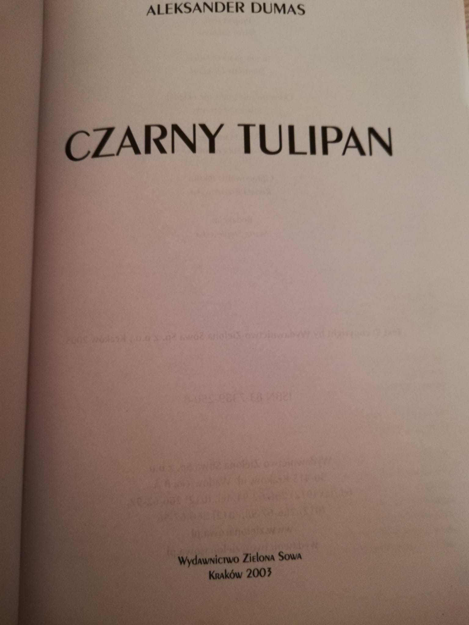 Czarny Tulipan powieść Aleksander Dumas