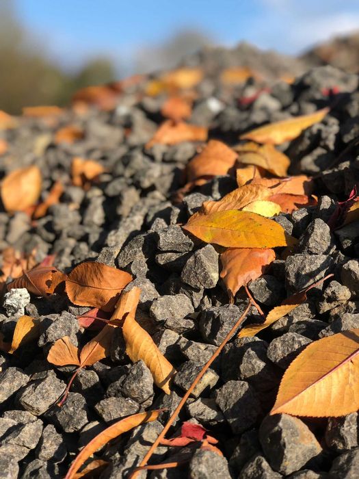 GRYS BAZALTOWY Ciemny Czarny kamień BAZALT, Brzeg Darex
