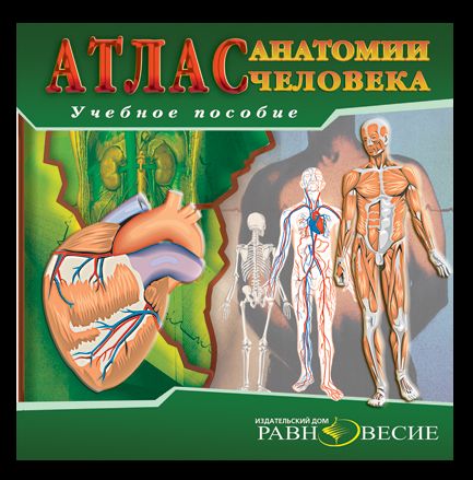 Анатомия человека (диск)