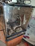 Sprzedam terrarium