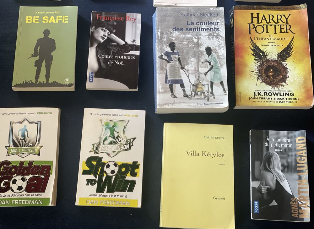 Livros franceses