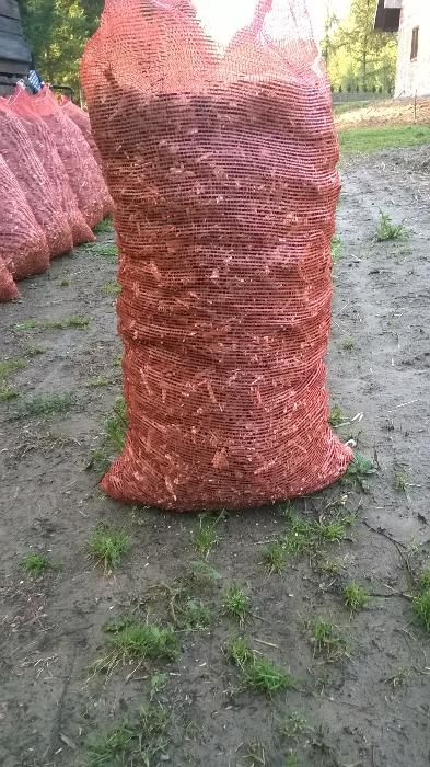 Zrebki drzewne z drzewa topolowego