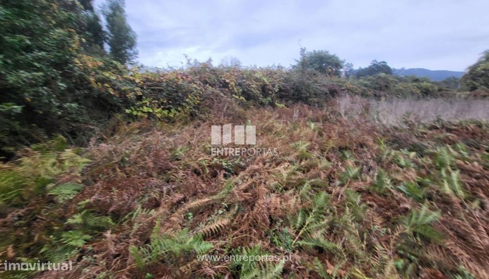 Venda de terreno agrícola, Deocriste, Viana do Castelo