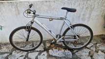 Bicicleta adulta