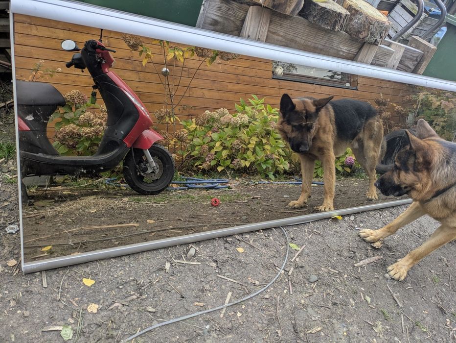 Drzwi przesuwane 232x70 lustro 2 szt