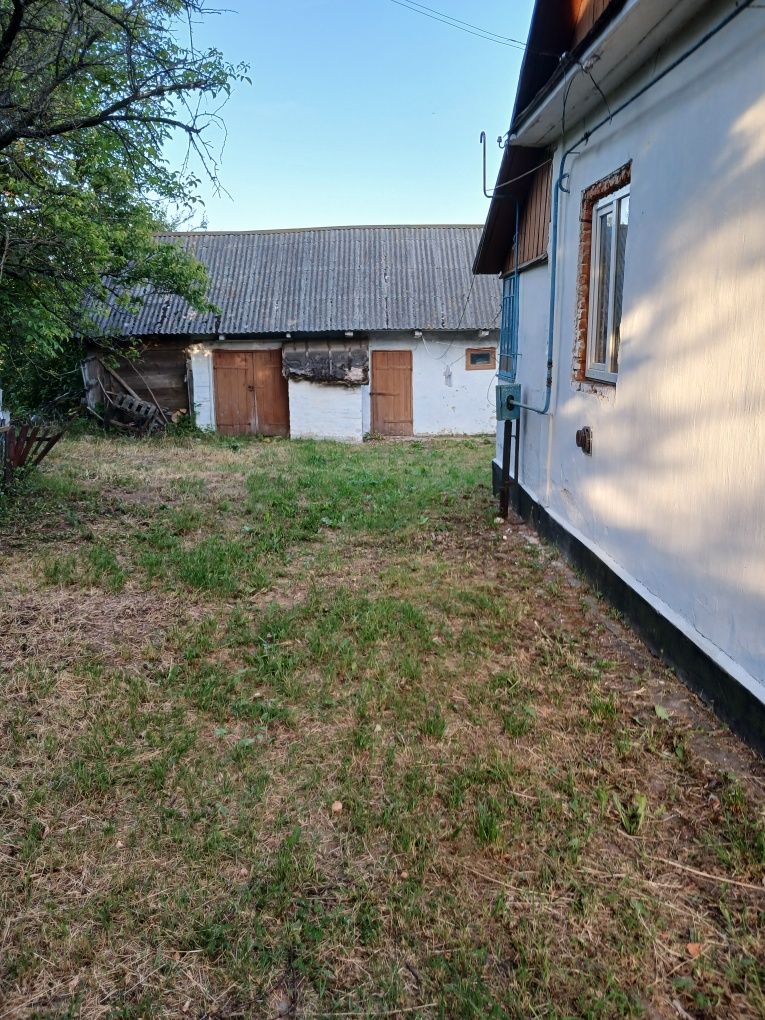 Терміново! Продам будинок у селі Витків біля ставка