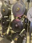 Rogue echo bumper plates