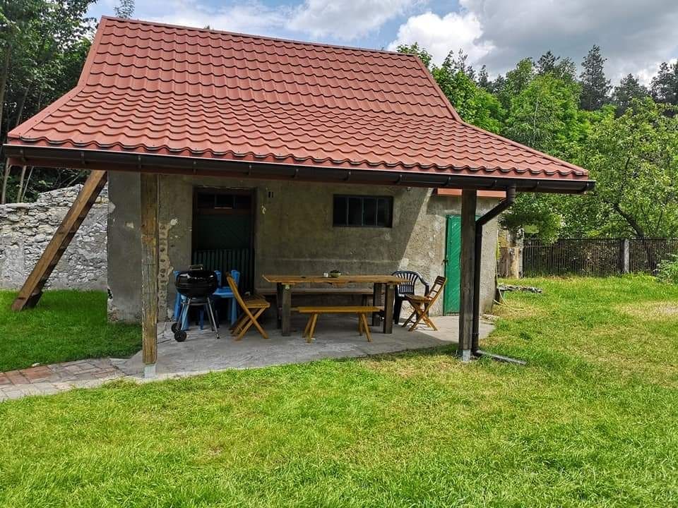 Całoroczny dom na wyłączność/noclegi