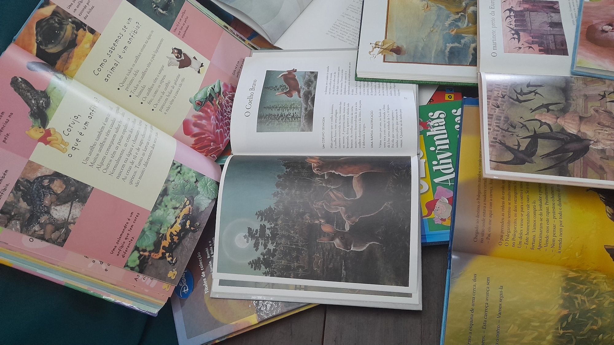 Lote 16 Livros infantis