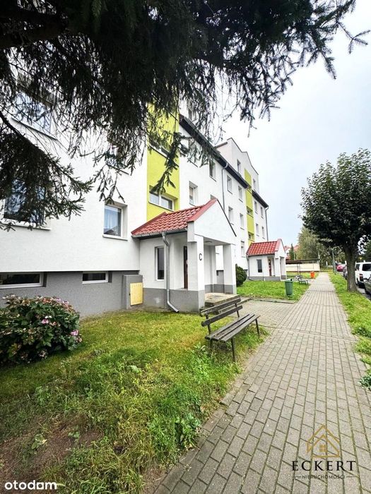 Mieszkanie - Sulechów, ul. Klonowa | 3 pokoje