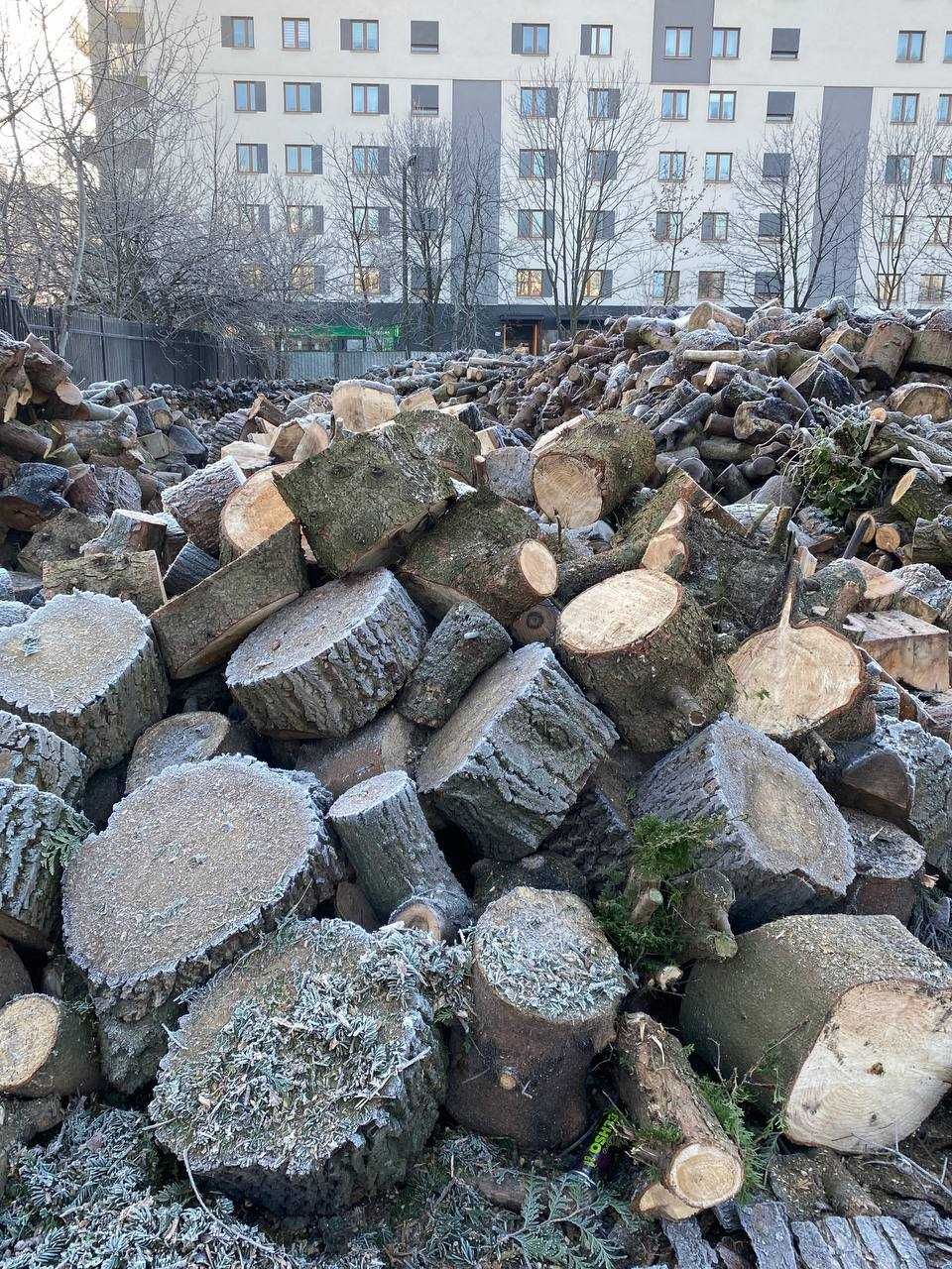 Drewno łupane opałowe/kominkowe