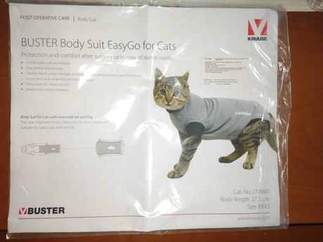 Body / colete esterilização para gato