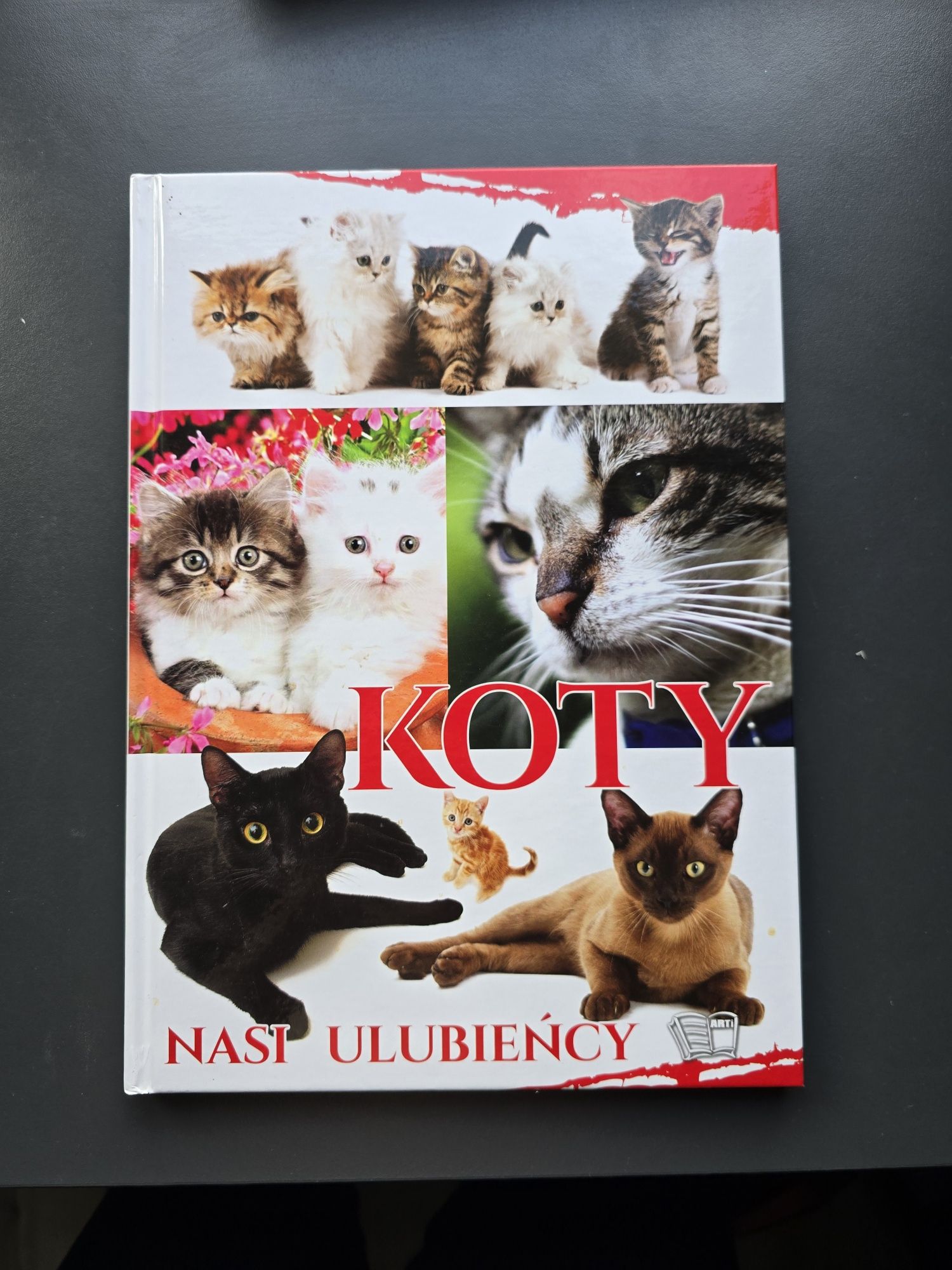 Koty Nasi Ulubieńcy