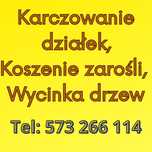 Wycinka drzew Wywóz gałęzi Karczowanie działek Koszenie trawy zarośli