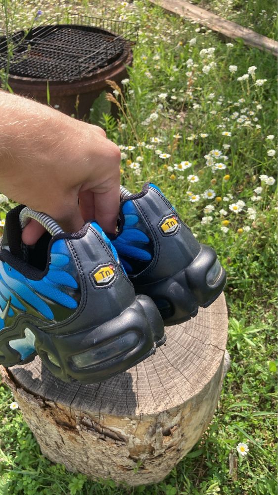 Кросівки Nike Air Max Tn Plus Gradient Nebula