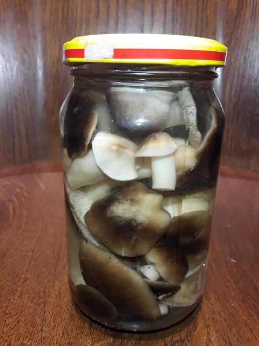 Marynowane grzyby - gąski