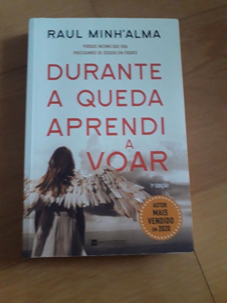 Livro Durante a queda aprendi a voar