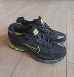 Nike Pegasus 25 ESC
