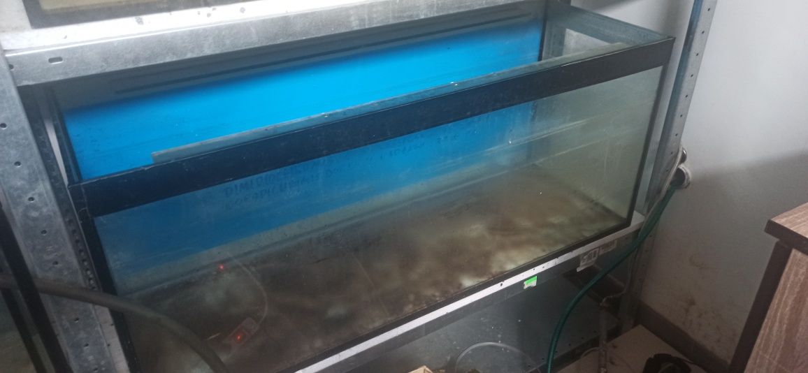 Akwarium 240 l stan db