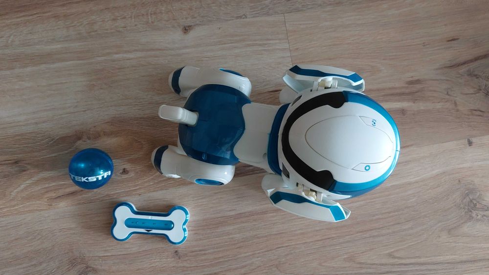 TEKSTA Robopiesek interaktywny