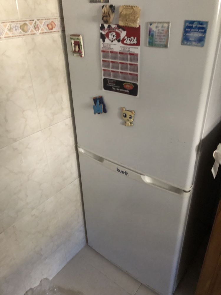 Frigorifico combinafo