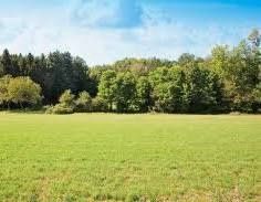 Земельна ділянка (пай) 6 гектар