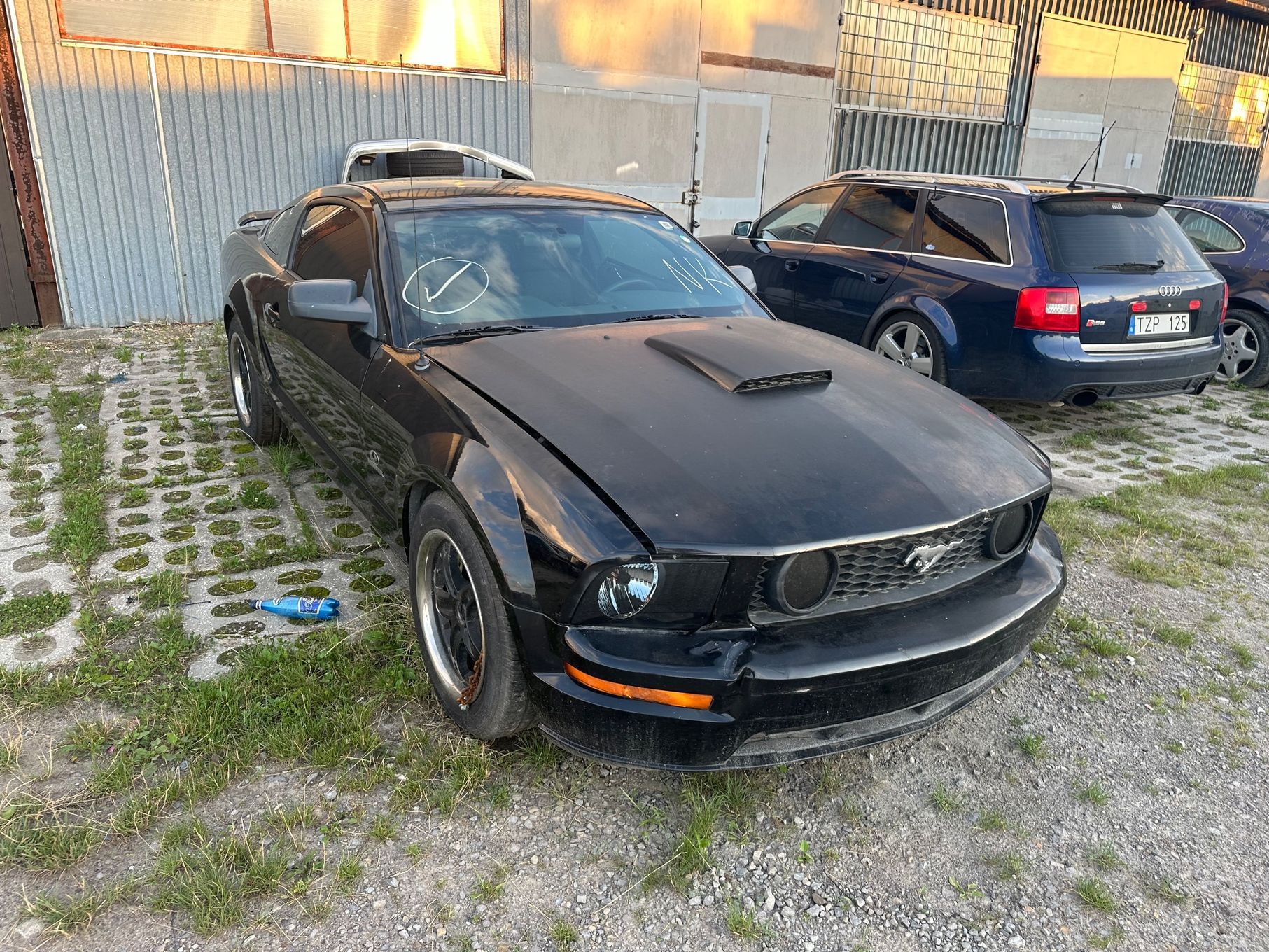 Ford Mustang Manual