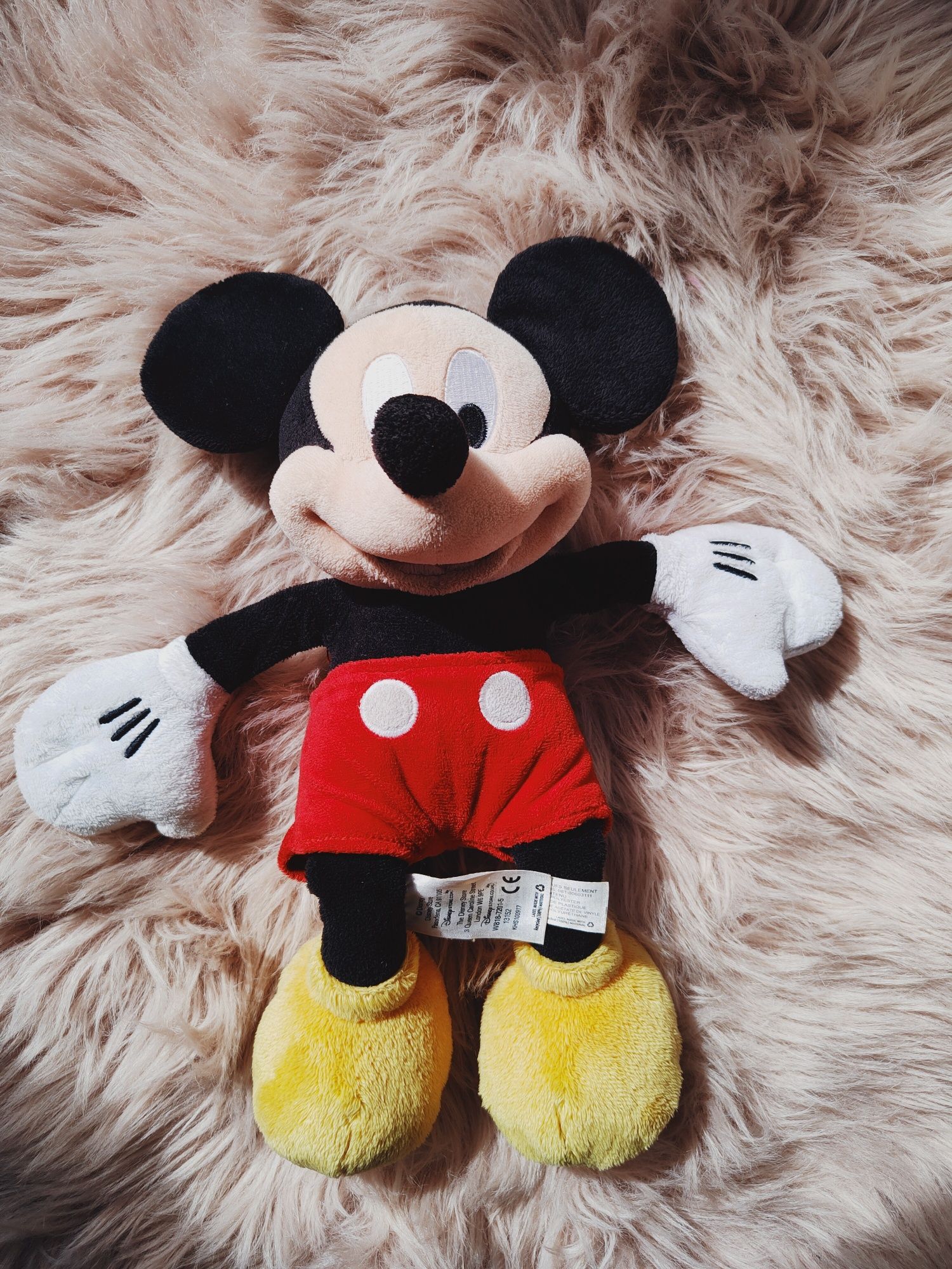 Myszka Mickeyi Disney