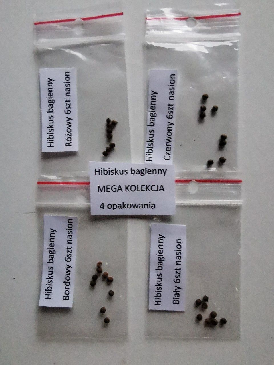 Hibiskus bagienny - MEGA KOLEKCJA - olbrzymi kwiat