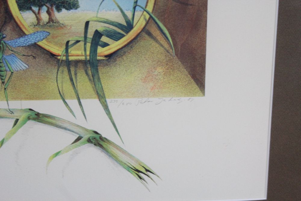 =ARTexpert= Obraz za grafika Peter Jakoby